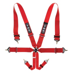 TRS Magnum 6 Point Harness