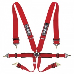 TRS Pro 6 Point Harness